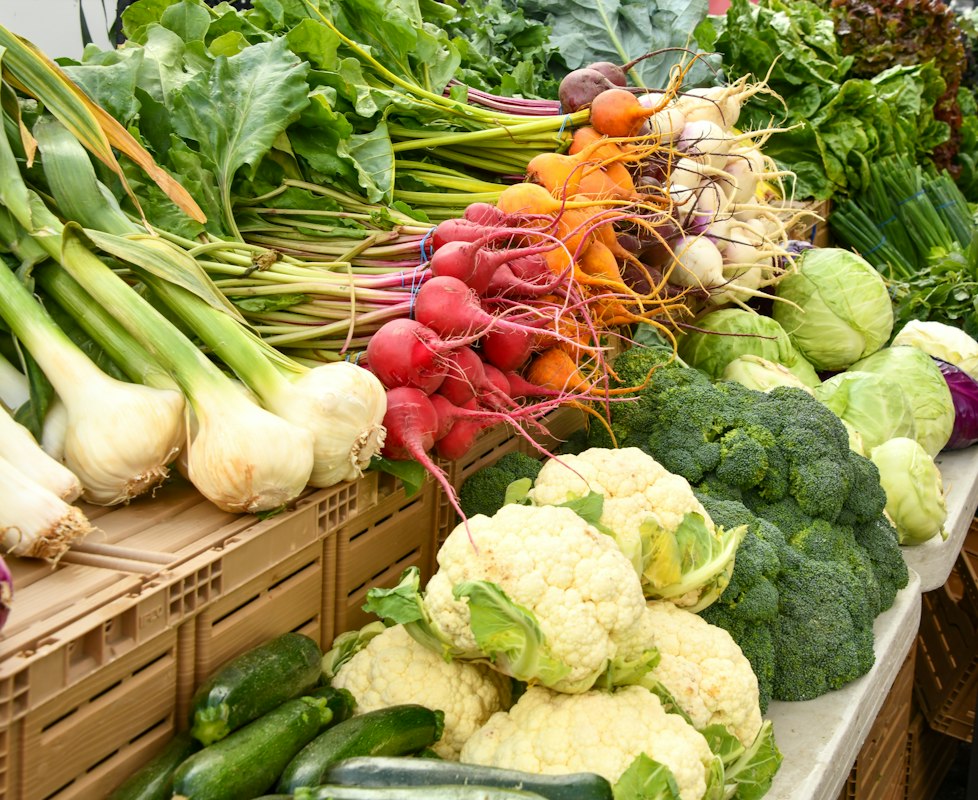 Nutrición y bienestar consciente